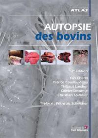 Autopsie des bovins