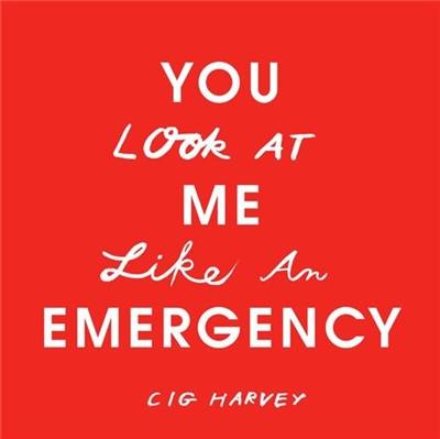 Cig Harvey You look at Me like an Emergency