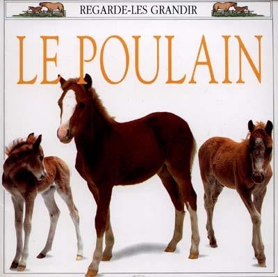 Le poulain