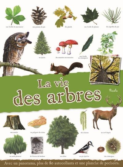 La vie des arbres