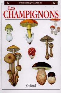 Les champignons