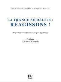 La France se délite : réagissons ! : propositions immédiates économiques et politiques