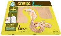 Cobra