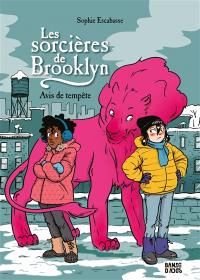 Les sorcières de Brooklyn. Vol. 2. Avis de tempête