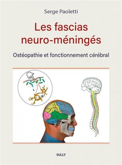 Les fascias neuro-méningés : ostéopathie et fonctionnement cérébral