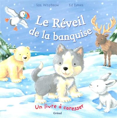 Le réveil de la banquise