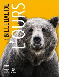 Billebaude, n° 9. L'ours