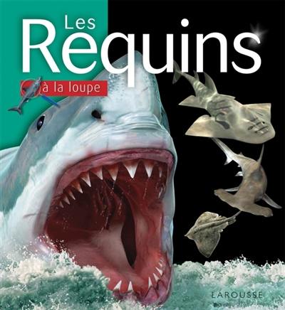 Les requins