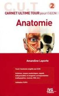 Anatomie