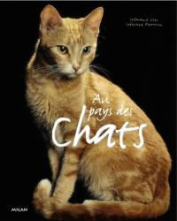 Au pays des chats