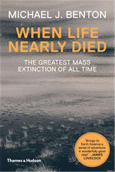 When Life Nearly Died (Paperback)