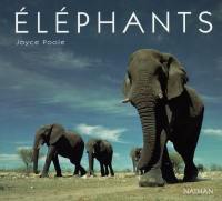 Eléphants