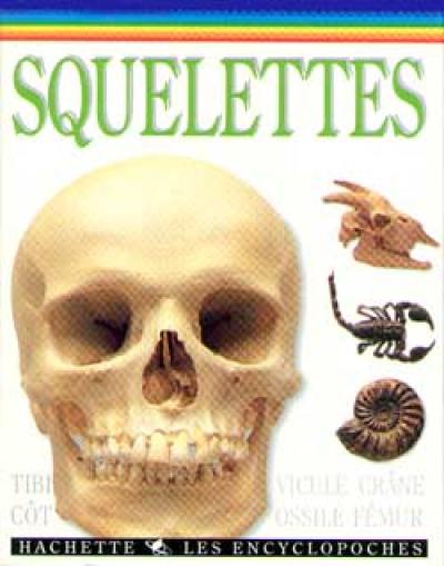 Squelettes