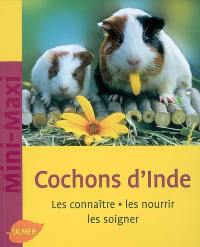 Cochons d'Inde : les connaître, les nourrir, les soigner