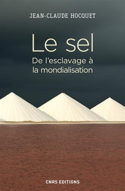 Le sel : de l'esclavage à la mondialisation