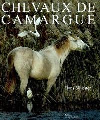 Chevaux de Camargue