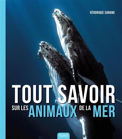 Tout savoir sur les animaux de la mer