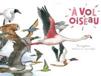 A vol d'oiseau : les migrations