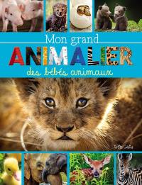 Mon grand animalier des bébés animaux