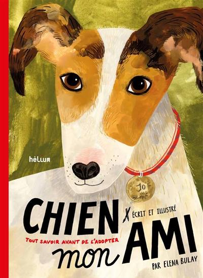 Chien, mon ami : tout savoir avant de l'adopter