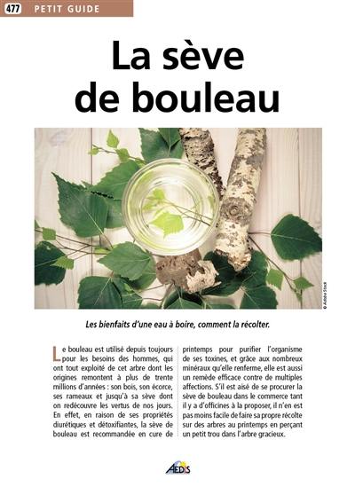 La sève de bouleau : les bienfaits d'une eau à boire, comment la récolter