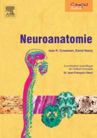 Neuroanatomie