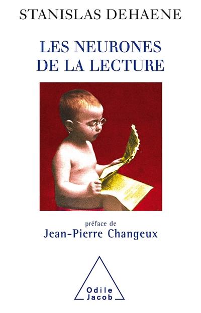 Les neurones de la lecture