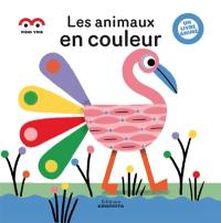 Les animaux en couleurs