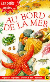 Au bord de la mer