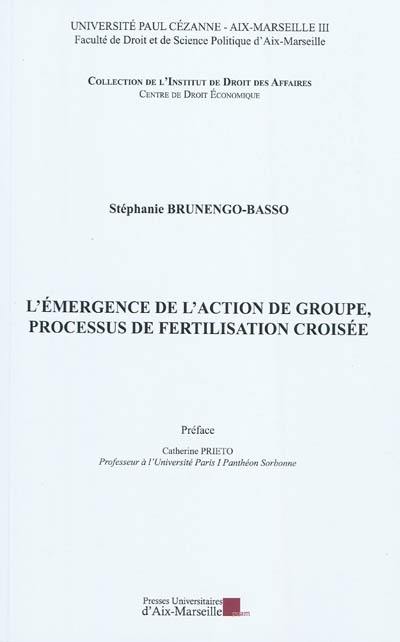 L'émergence de l'action de groupe, processus de fertilisation croisée