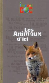 Les animaux d'ici