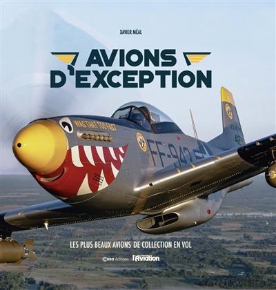 Avions d'exception : les plus beaux avions de collection en vol