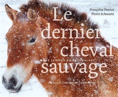 Le dernier cheval sauvage : dans les pas du Przewalski