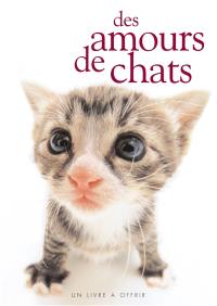 Des amours de chats