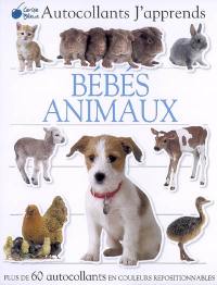 Bébés animaux