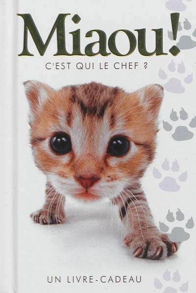 Miaou ! : c'est qui le chef ?