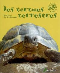 Les tortues terrestres