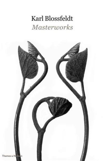 Karl Blossfeldt Masterworks