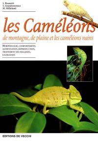 Les caméléons