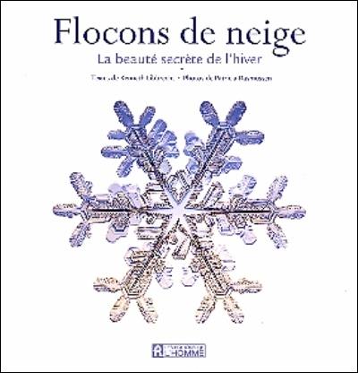 Flocons de neige : la beauté secrète de l'hiver