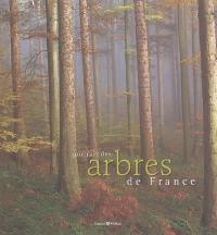 Portrait des arbres de France