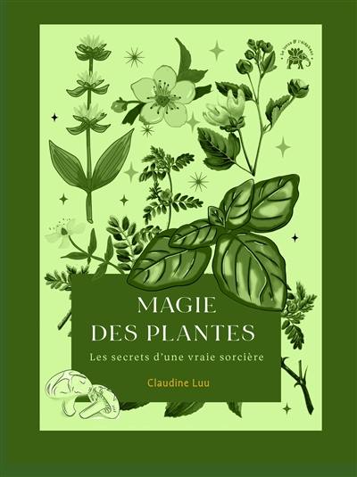 Magie des plantes : les secrets d'une vraie sorcière