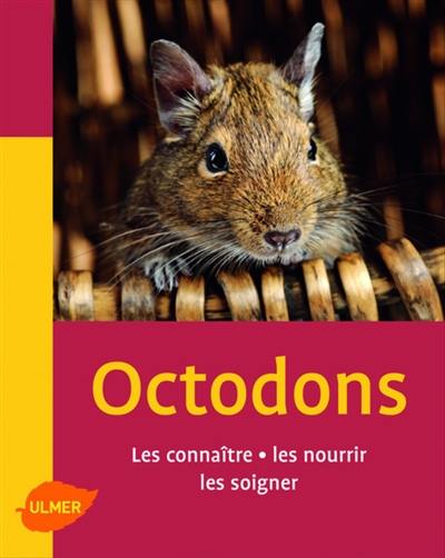 Octodons : les connaître, les nourrir, les soigner