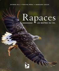 Rapaces : les maîtres du ciel