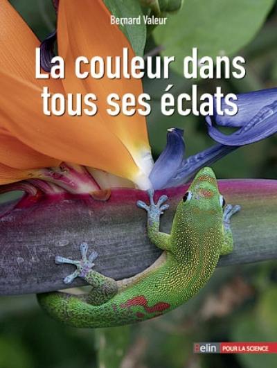 La couleur dans tous ses éclats