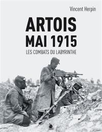 Artois, 9 mai 1915 : les combats du Labyrinthe