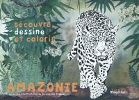 Amazonie : découvre, dessine et colorie les animaux de la forêt amazonienne