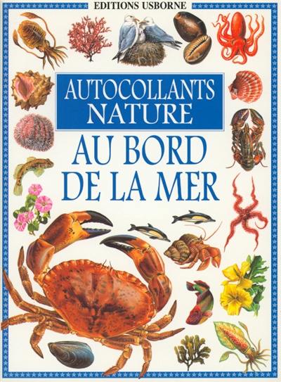 Au bord de la mer