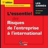 L'essentiel des risques de l'entreprise à l'international : tout sur les risques internationaux de l'entreprise