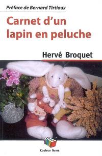 Carnet d'un lapin en peluche